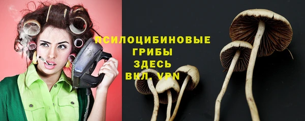 таблы Пестово