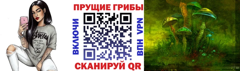 Псилоцибиновые грибы MAGIC MUSHROOMS  Отрадная 
